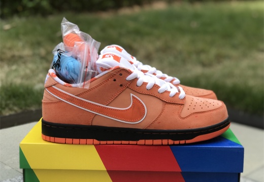 Concepts x Nike SB Dunk Low FD8776-800 36-47.5